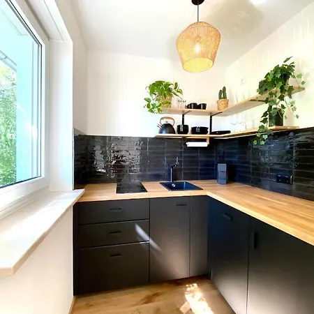 Butler Jungle - - Netflix - Big Box Apartment Haslach